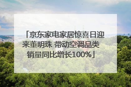 京东家电家居惊喜日迎来董明珠 带动空调品类销量同比增长100%