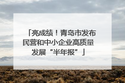 亮成绩！青岛市发布民营和中小企业高质量发展“半年报”