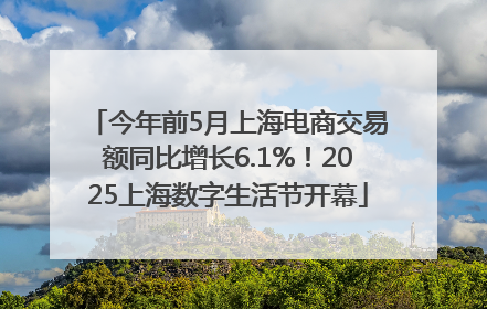 今年前5月上海电商交易额同比增长6.1%！2025上海数字生活节开幕