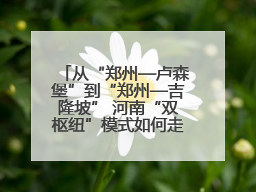 从“郑州—卢森堡”到“郑州—吉隆坡” 河南“双枢纽”模式如何走向全球
