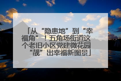 从“隐患地”到“幸福角”！五角场街道这个老旧小区党建微花园“靓”出幸福新图景