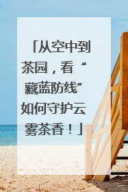 从空中到茶园，看“藏蓝防线”如何守护云雾茶香！