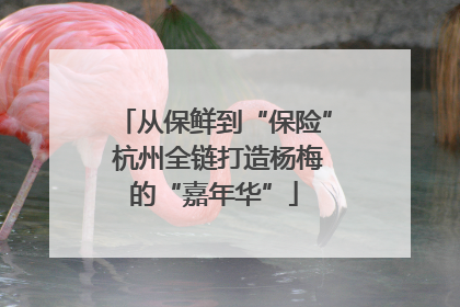 从保鲜到“保险” 杭州全链打造杨梅的“嘉年华”