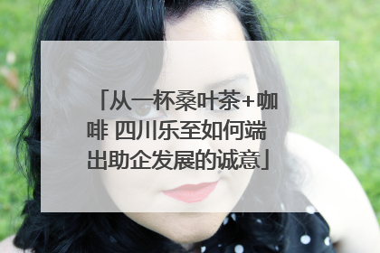 从一杯桑叶茶+咖啡 四川乐至如何端出助企发展的诚意