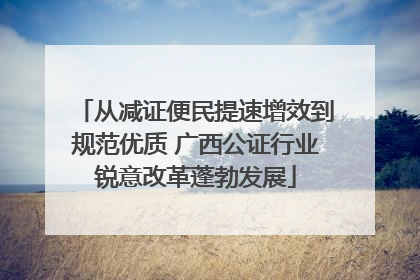 从减证便民提速增效到规范优质 广西公证行业锐意改革蓬勃发展