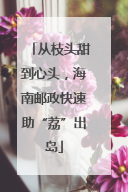 从枝头甜到心头，海南邮政快速助“荔”出岛