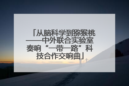从脑科学到猕猴桃——中外联合实验室奏响“一带一路”科技合作交响曲