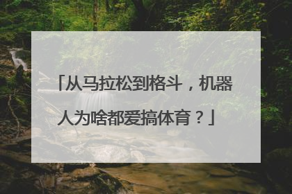 从马拉松到格斗，机器人为啥都爱搞体育？
