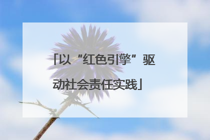 以“红色引擎”驱动社会责任实践