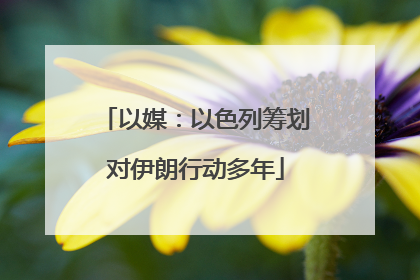 以媒：以色列筹划对伊朗行动多年