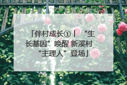伴村成长①丨 “生长基因”唤醒 新溪村“主理人”登场