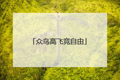 众鸟高飞竞自由