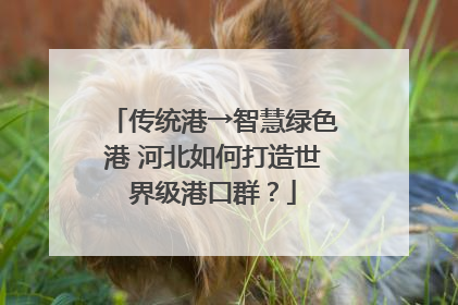 传统港→智慧绿色港 河北如何打造世界级港口群？