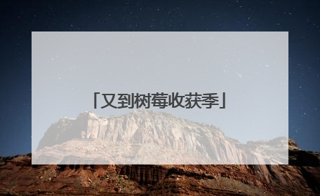 又到树莓收获季