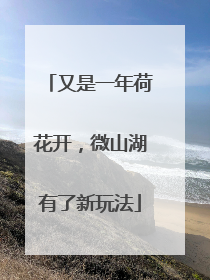 又是一年荷花开，微山湖有了新玩法