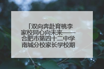 双向奔赴育桃李 家校同心向未来——合肥市第四十二中学南城分校家长学校期末总结会圆满召开