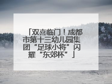 双喜临门！成都市第十三幼儿园集团“足球小将”闪耀“东郊杯”