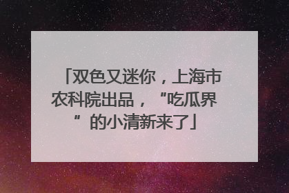 双色又迷你，上海市农科院出品，“吃瓜界”的小清新来了