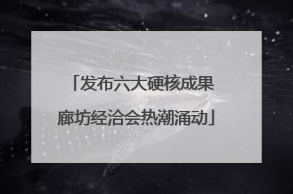 发布六大硬核成果 廊坊经洽会热潮涌动
