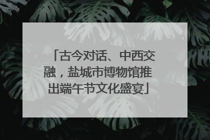 古今对话、中西交融，盐城市博物馆推出端午节文化盛宴