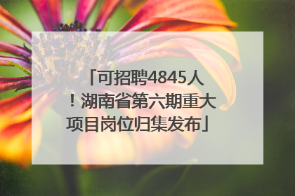 可招聘4845人！湖南省第六期重大项目岗位归集发布