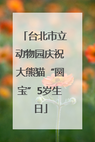 台北市立动物园庆祝大熊猫“圆宝”5岁生日