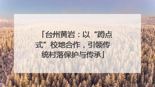 台州黄岩：以“蹲点式”校地合作，引领传统村落保护与传承