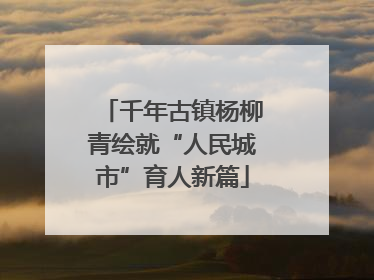 千年古镇杨柳青绘就“人民城市”育人新篇