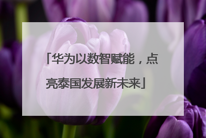 华为以数智赋能，点亮泰国发展新未来