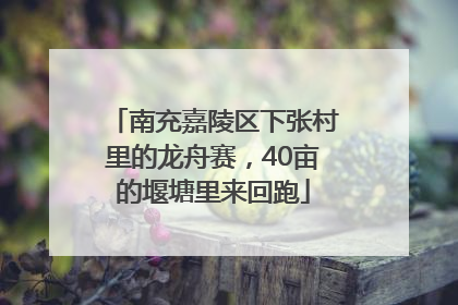 南充嘉陵区下张村里的龙舟赛，40亩的堰塘里来回跑