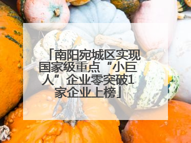 南阳宛城区实现国家级重点“小巨人”企业零突破1家企业上榜