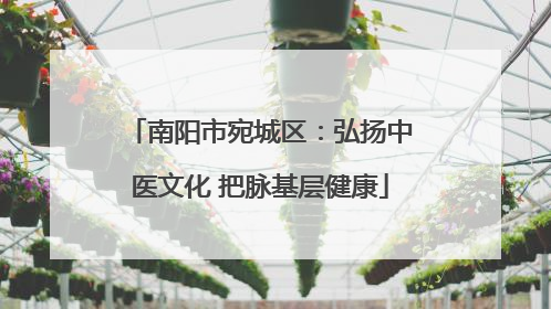 南阳市宛城区：弘扬中医文化 把脉基层健康