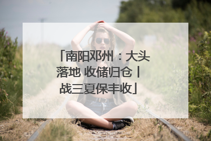 南阳邓州：大头落地 收储归仓丨战三夏保丰收