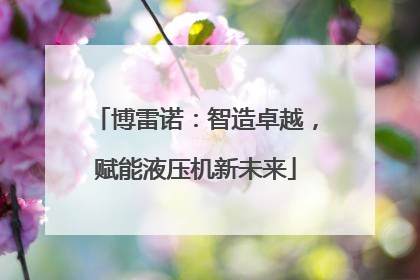 博雷诺：智造卓越，赋能液压机新未来