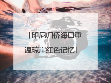 印尼归侨海口重温琼崖红色记忆