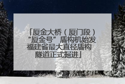 厦金大桥（厦门段）“厦金号”盾构机始发 福建省最大直径盾构隧道正式掘进