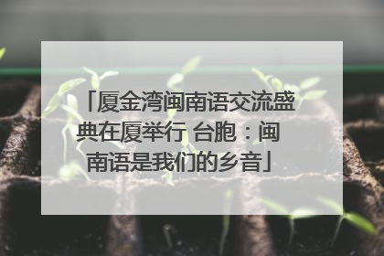 厦金湾闽南语交流盛典在厦举行 台胞：闽南语是我们的乡音