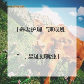 养老护理“速成班”，拿证即就业