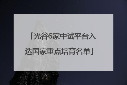 光谷6家中试平台入选国家重点培育名单