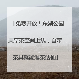 免费开放！东湖公园共享茶空间上线，自带茶具就能泡茶话仙