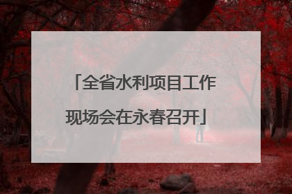 全省水利项目工作现场会在永春召开