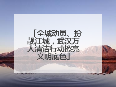 全城动员、扮靓江城，武汉万人清洁行动擦亮文明底色