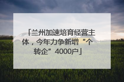 兰州加速培育经营主体，今年力争新增“个转企”4000户
