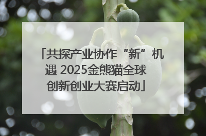 共探产业协作“新”机遇 2025金熊猫全球创新创业大赛启动