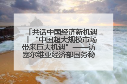 共话中国经济新机遇丨“中国超大规模市场带来巨大机遇”——访塞尔维亚经济部国务秘书尼科利奇