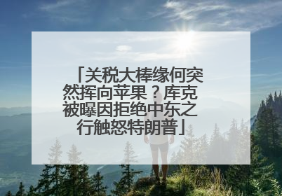 关税大棒缘何突然挥向苹果？库克被曝因拒绝中东之行触怒特朗普