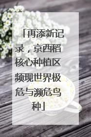 再添新记录，京西稻核心种植区频现世界极危与濒危鸟种