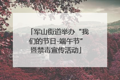 军山街道举办“我们的节日-端午节”暨禁毒宣传活动