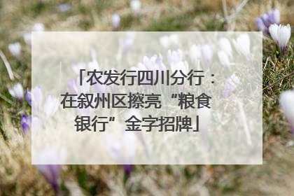 农发行四川分行：在叙州区擦亮“粮食银行”金字招牌