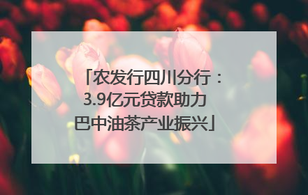 农发行四川分行：3.9亿元贷款助力巴中油茶产业振兴